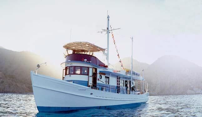 Custom Trawler 63