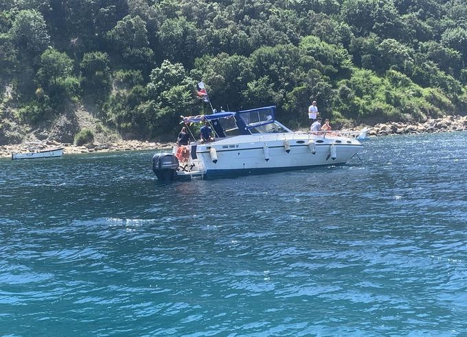 M/B Piantoni onda blu