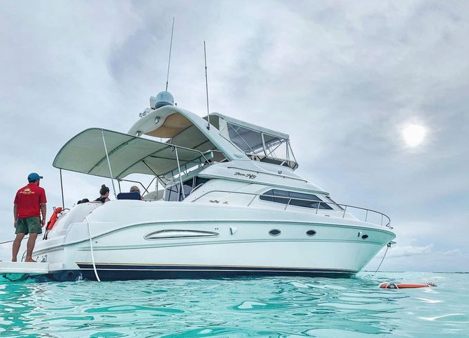 Sea Ray Flybridge 45
