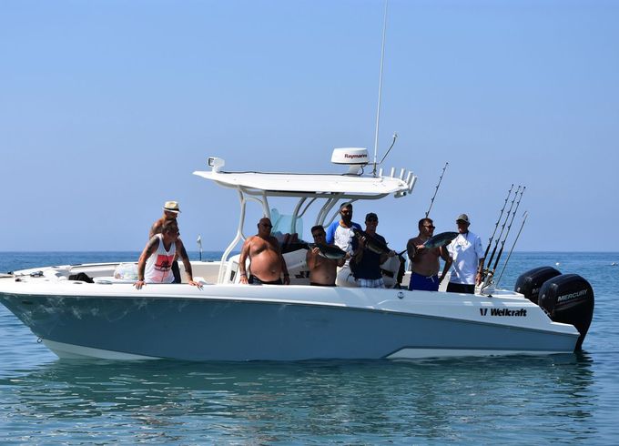 Wellcraft Fisher 262