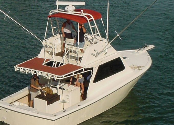 Fitz SportFish