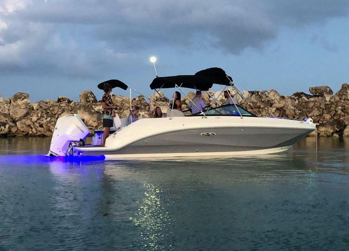 Sea Ray SDX 26