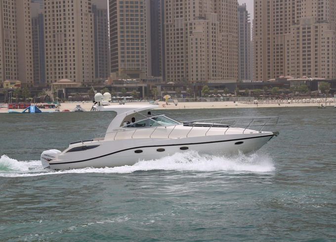 Oryx 36