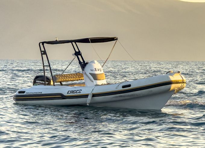 eagle boats eagle
