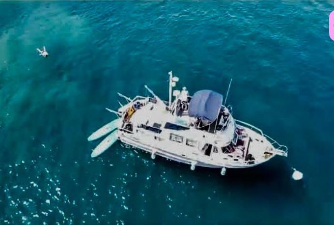 marine corporation ocean 37