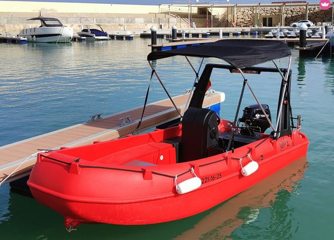 whaly boats 435-r