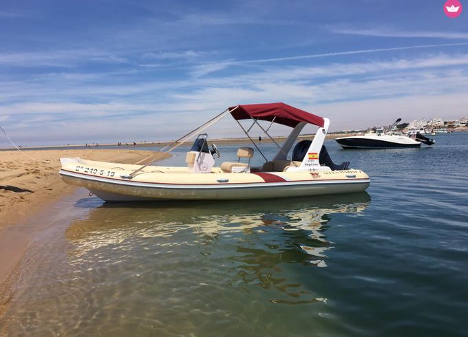 tiger marine proline 6.0