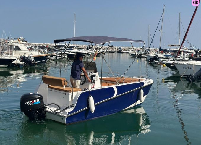 barco privado para avistamiento de delfines