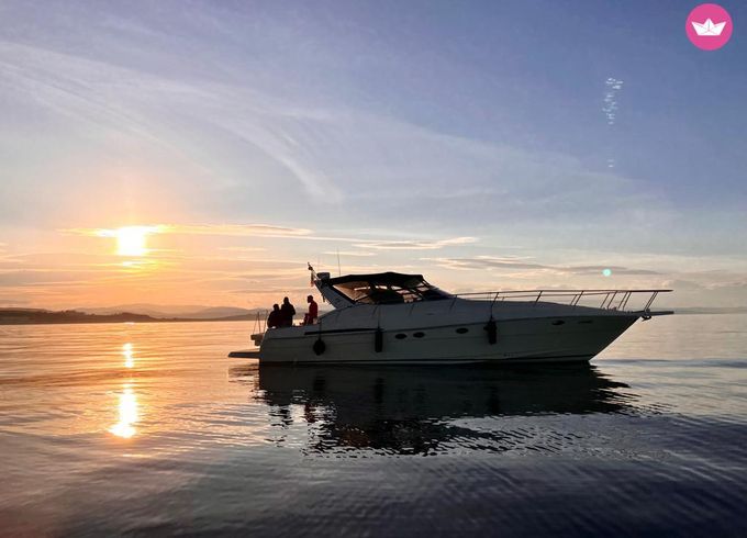 arsmare 44 sport