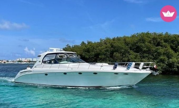 sea ray 60