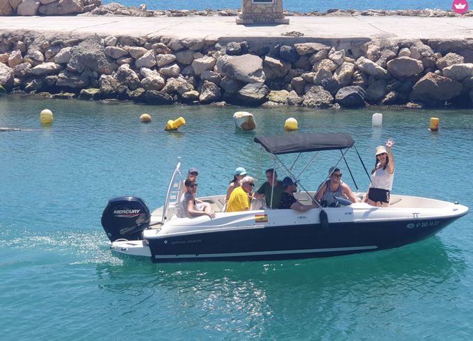 bayliner 18
