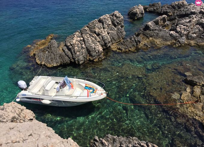 selva marine d 5.6