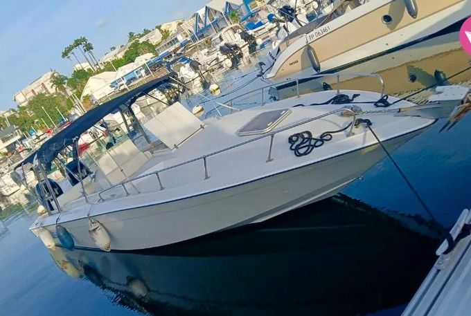 calypso excursions forboat 34