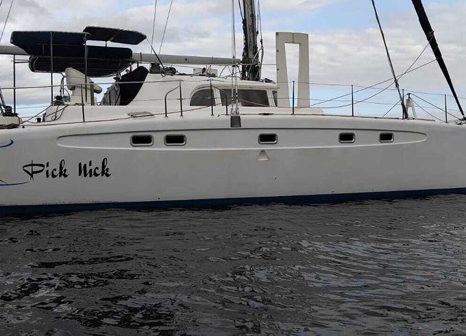 dolphin dolphin 46
