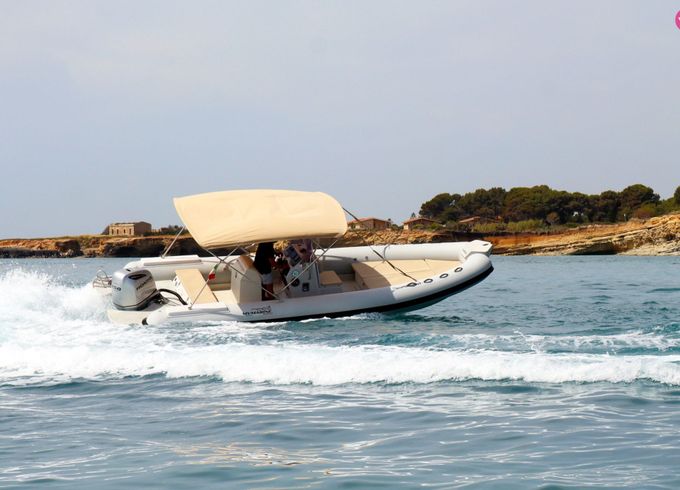 mv marine mv798