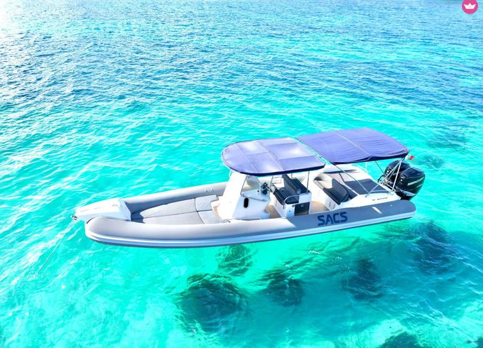 sacs marine strider 10