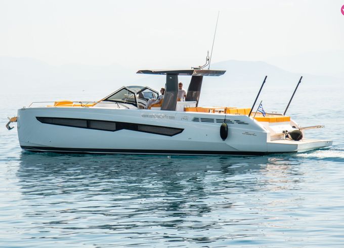 fiart 43 ft seawalker