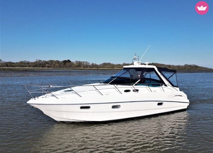 sealine s38