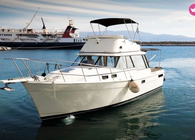 bayliner motorboat