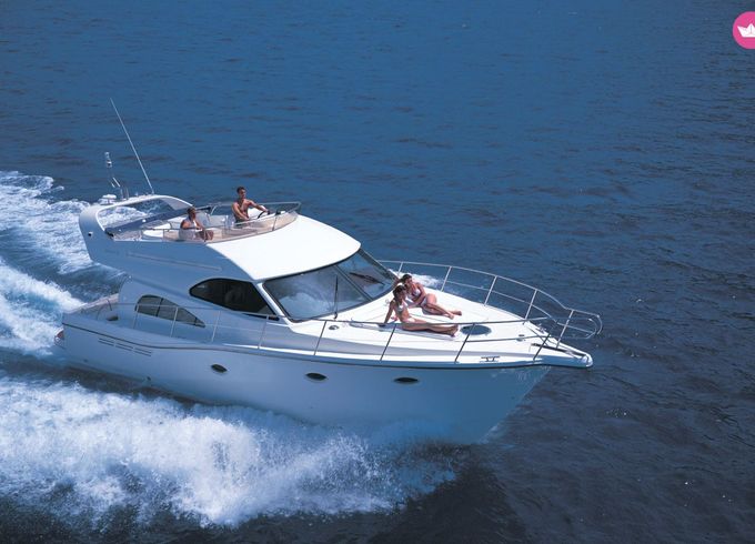 rodman r41