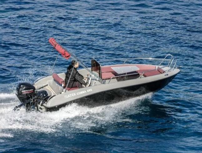 isatek cobra 495
