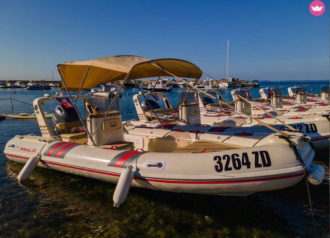 barracuda 530