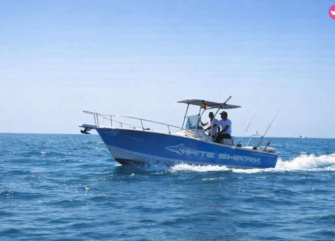 white shark 225cc