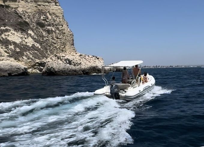 cappelli tempest 530