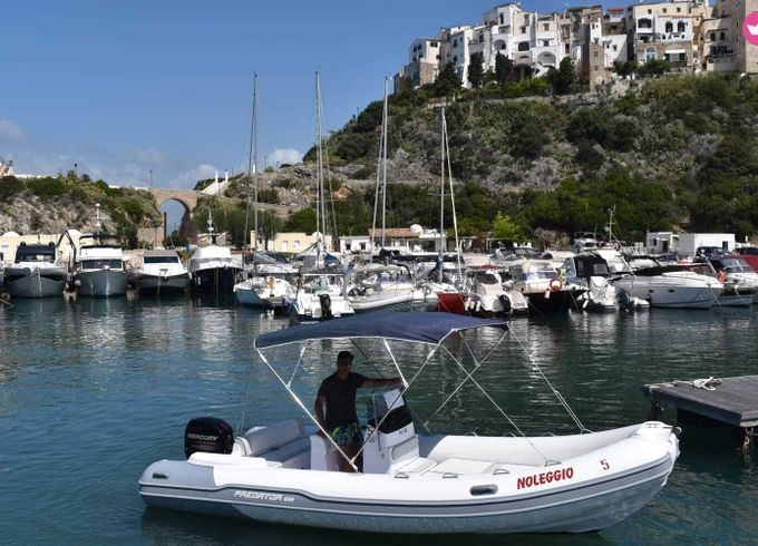 italboat predator 599 n.42