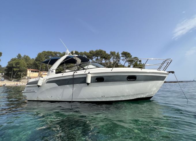 bavaria sport 29