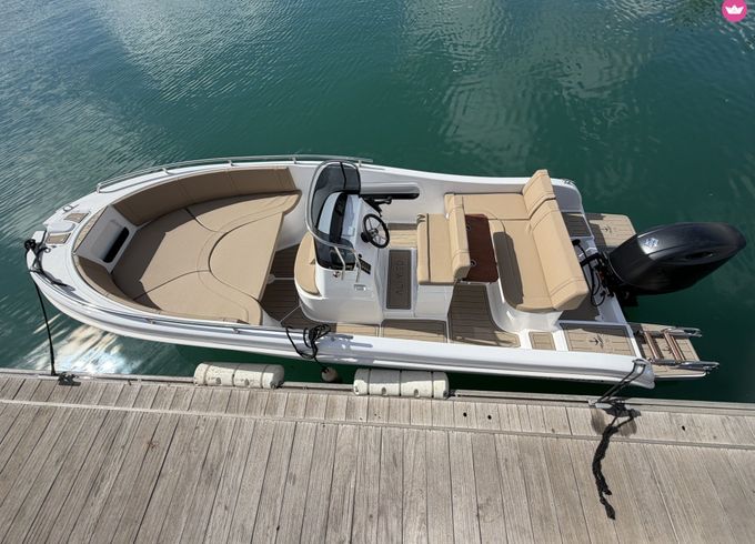 allegra 21 d