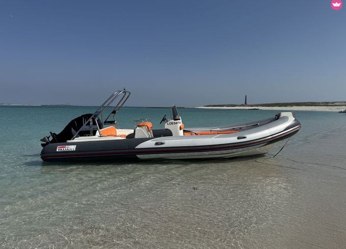 valiant v 750 cruiser
