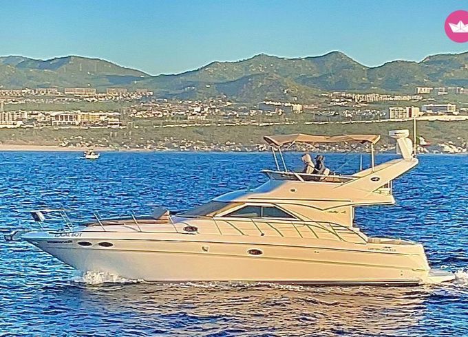 sea ray boats fly bridge