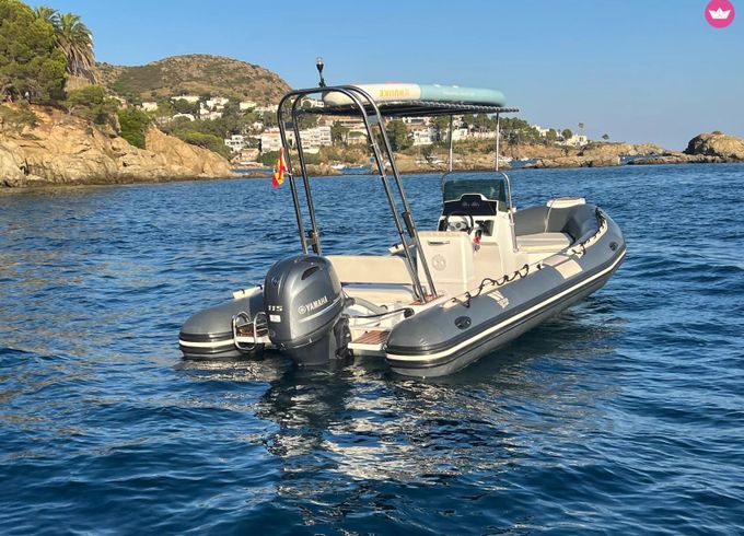 tiger marine topline 650