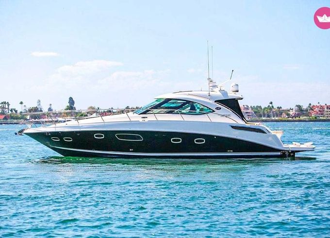 sea ray 14m