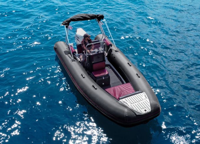 viper 550