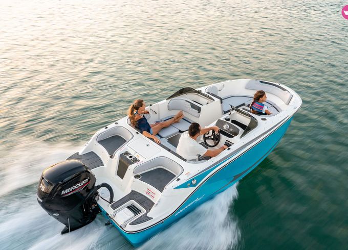 bayliner m17