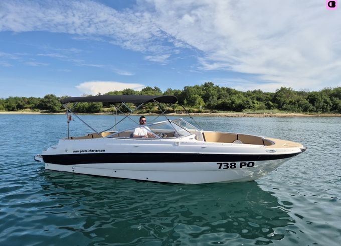 bayliner 249 sd