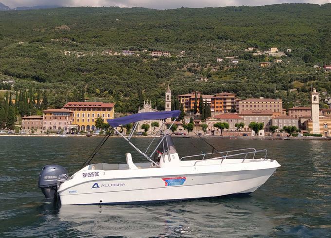 allegra allegra 5.60