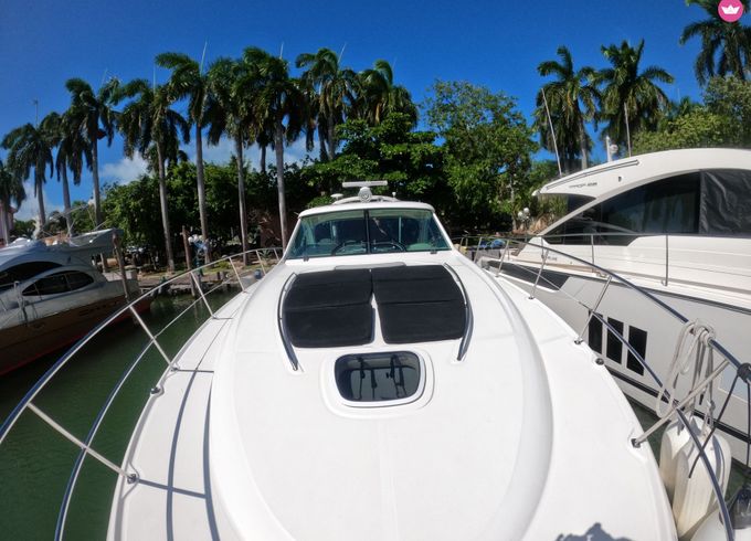 sea ray sundancer 500