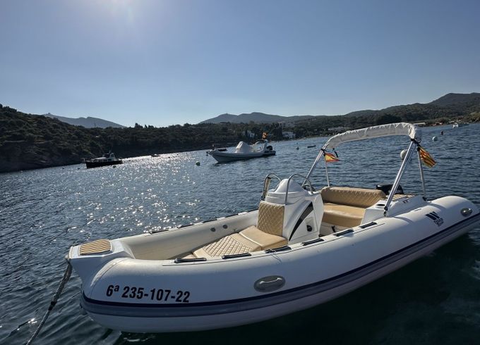 tiger marine 15 cv (ray)