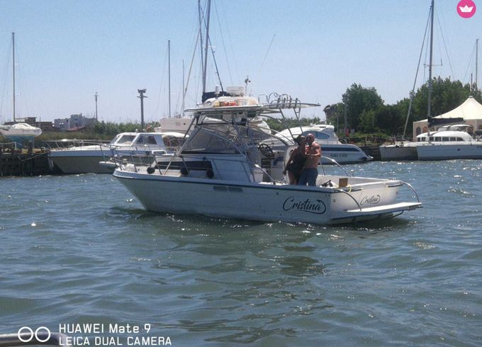 polyform triakis c29
