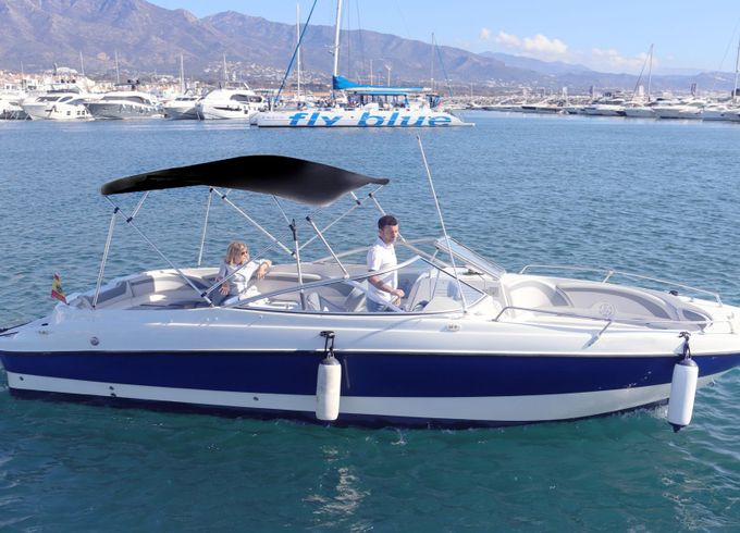 bayliner 249 sun deck