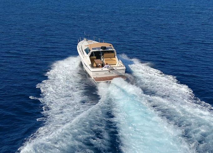 sea ray 42