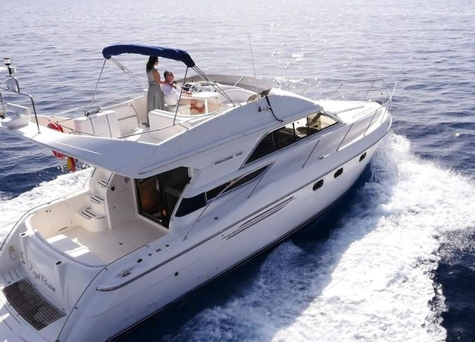 princess 440