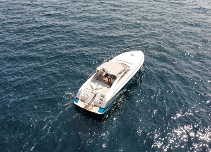 alfamarine alfamarine 47