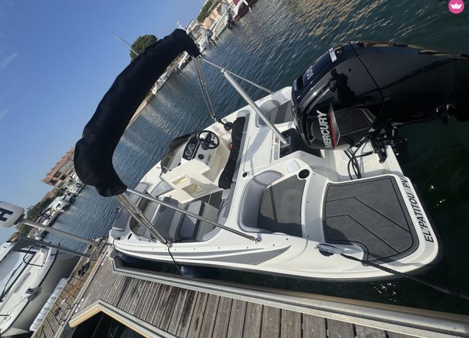 bayliner m17