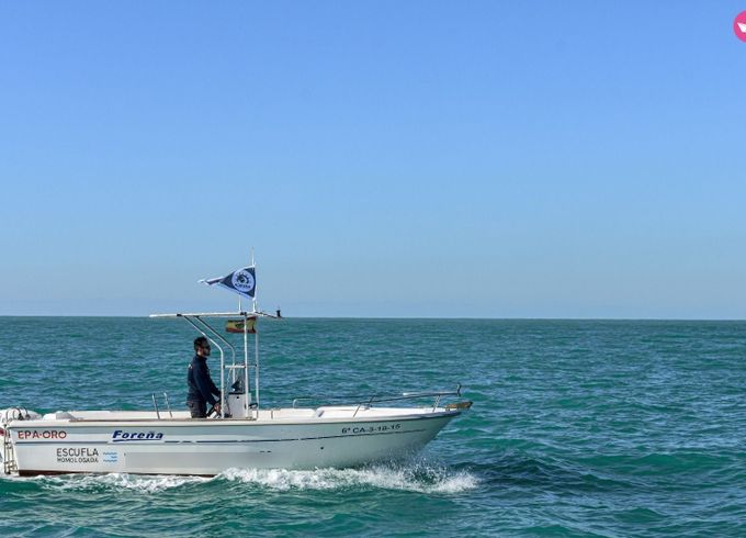 foreña dipol