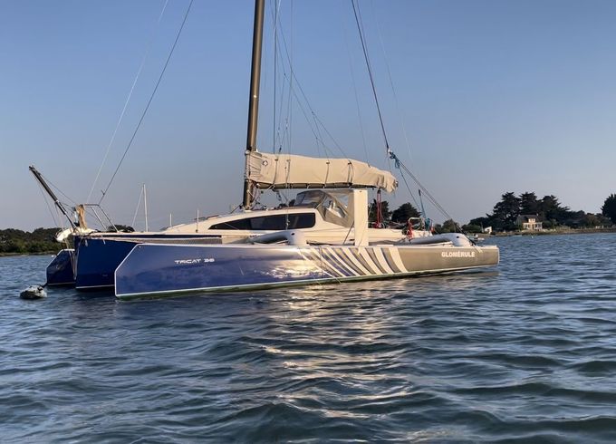 tricat tricat 30 performance