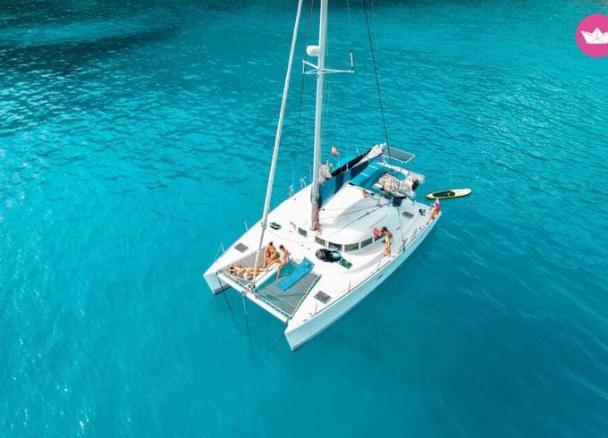 lagoon avistamiento delfines catamarán privado